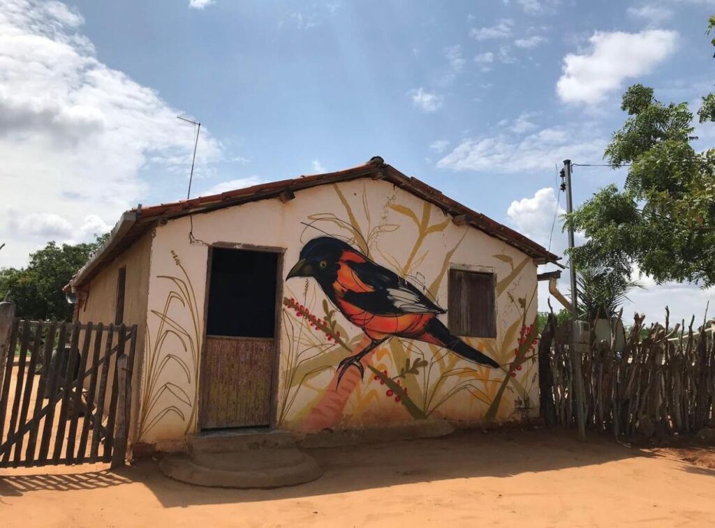 Feirense leva arte do grafite para comunidade do Sertão Baiano
