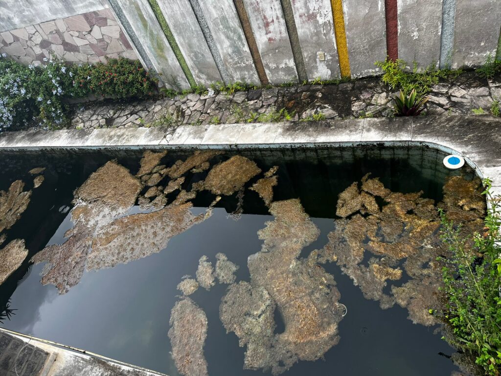 Moradores reclamam de casa abandonada na Brasília; Estado da piscina impressiona