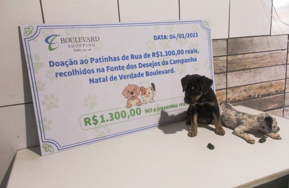 Boulevard Shopping arrecada doações em parceria com o Projeto Patinhas de Rua