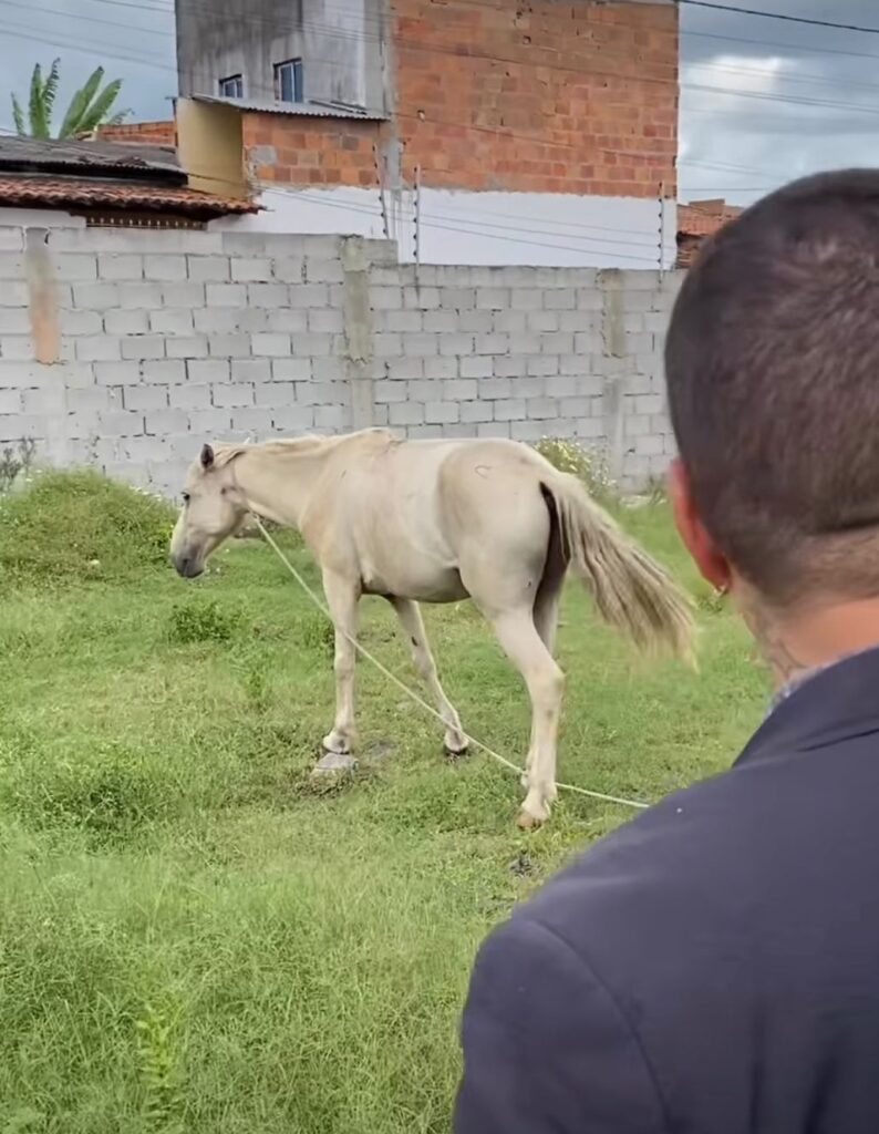 Vereador atesta falta de medicamentos, sujeira e até cavalo preso em posto de saúde de Feira de Santana
