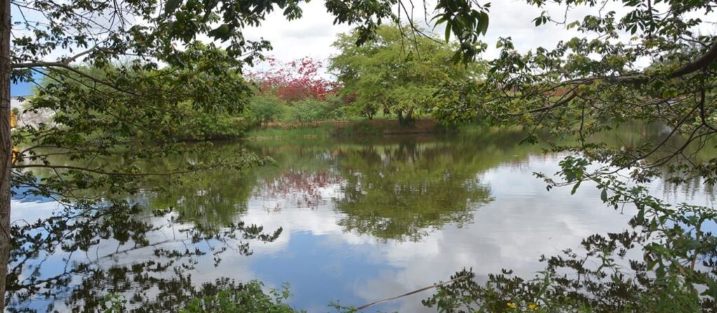 Parque da Lagoa tem programação alusiva ao Dia Mundial do Meio Ambiente domingo