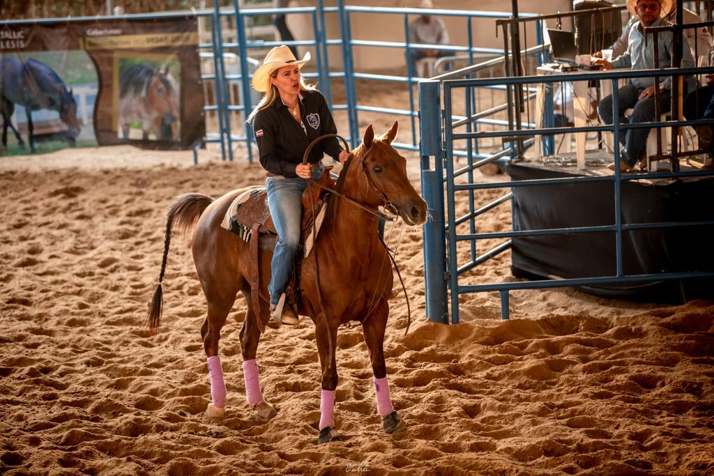 4ª Etapa do Campeonato Baiano de Ranch Sorting agita Feira de Santana nesta sexta e sábado