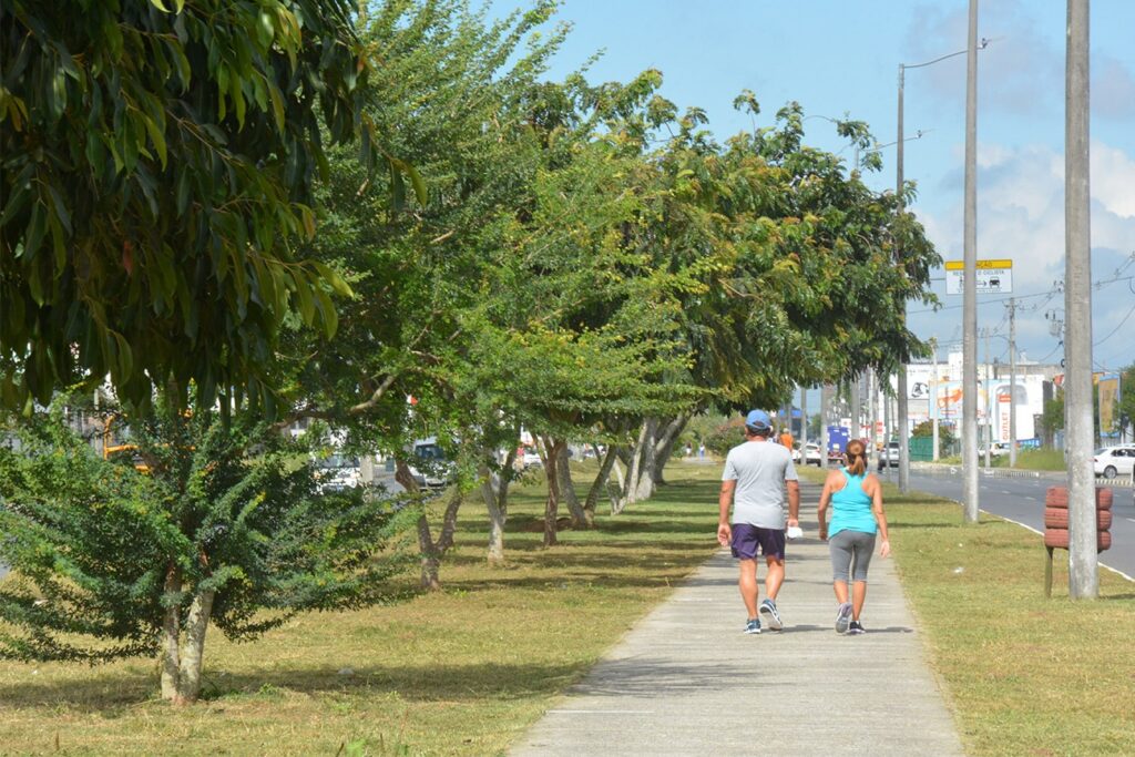 Para implantação de ciclovia na Noide Cerqueira, Prefeitura de Feira vai manejar árvores na avenida
