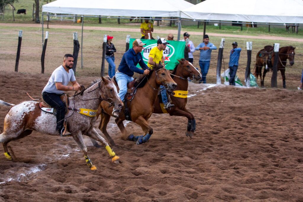 Santo Estevão sedia 4ª etapa do Campeonato Baiano Team Penning neste fim de semana