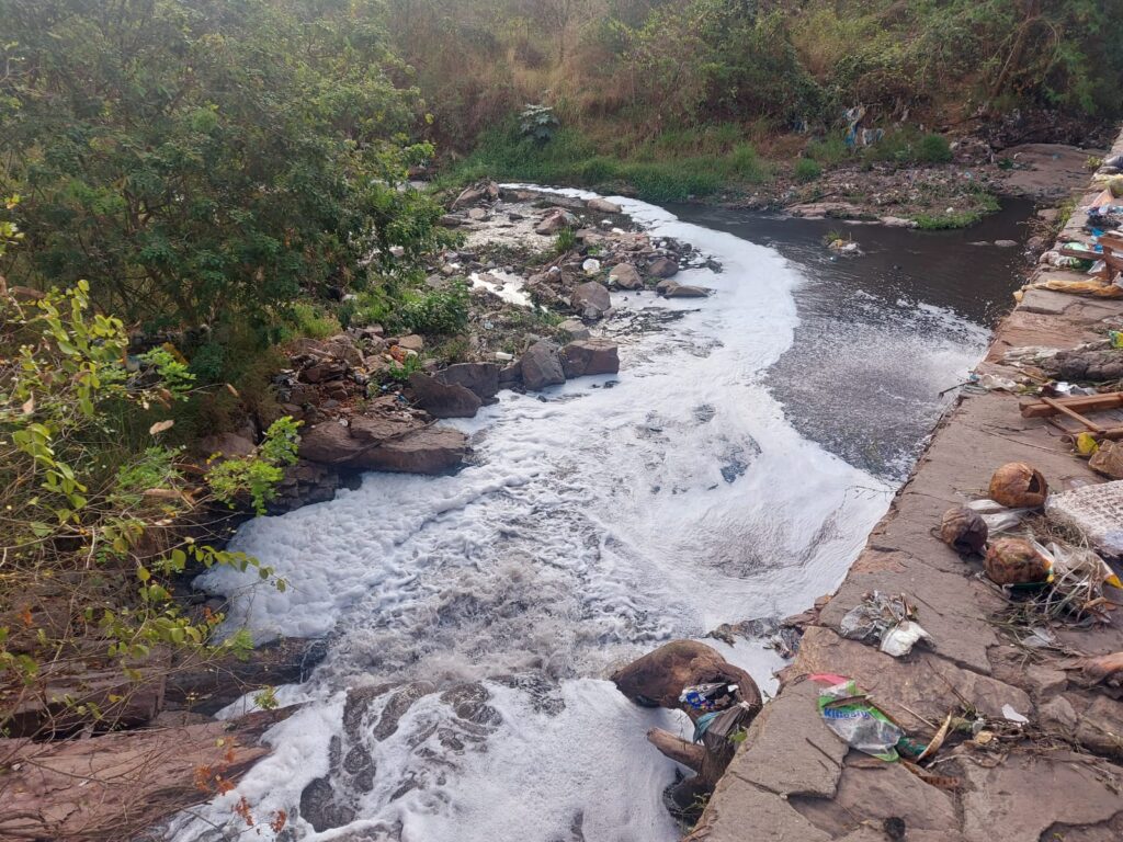 Vereador de Feira de Santana realizará expedição ao Rio Jacuípe para alertar sobre poluição