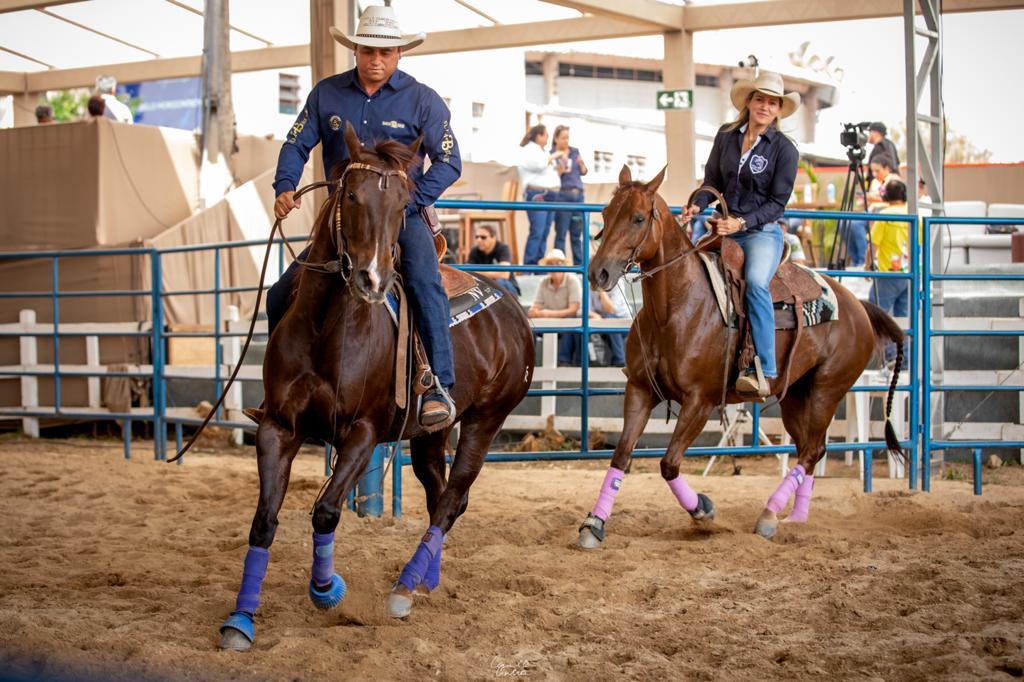 Salvador vai sediar última etapa do Campeonato Baiano de Ranch Sorting durante a Fenagro 2023