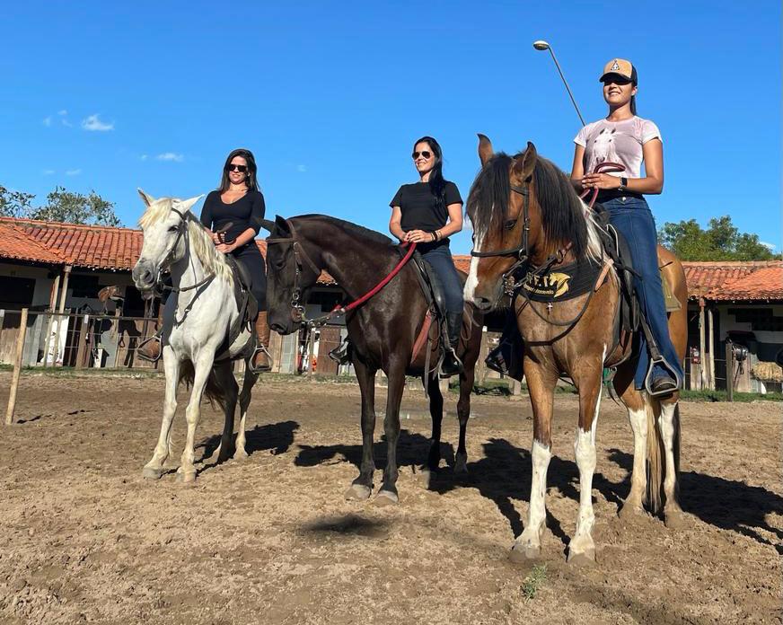 Academia do Cavalo oferece curso de equitação básica exclusivo para mulheres em Feira de Santana