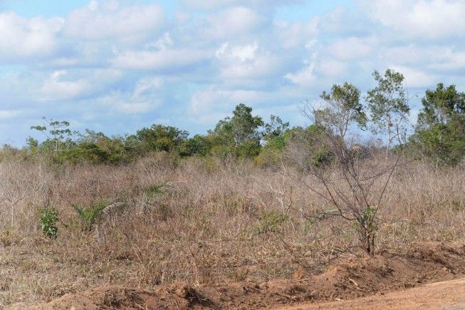 Prefeitura de Feira decreta situação de emergência por estiagem; decreto tem validade de 180 dias