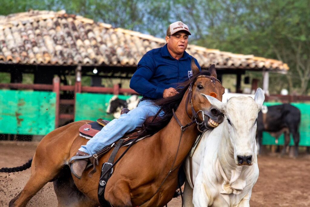 Em Feira de Santana, etapa final do Campeonato Baiano de Team Penning encerra temporada 2023 com premiação total de R$ 240 mil 