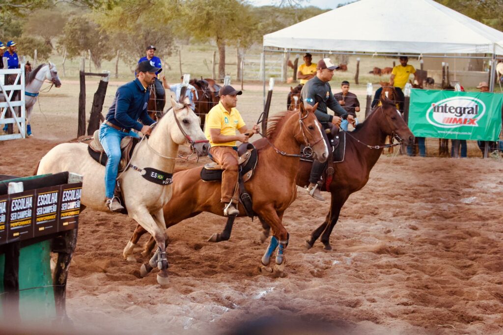 Campeonato Baiano de Team Penning 2024 será apresentado no Shopping da Bahia, em Salvador