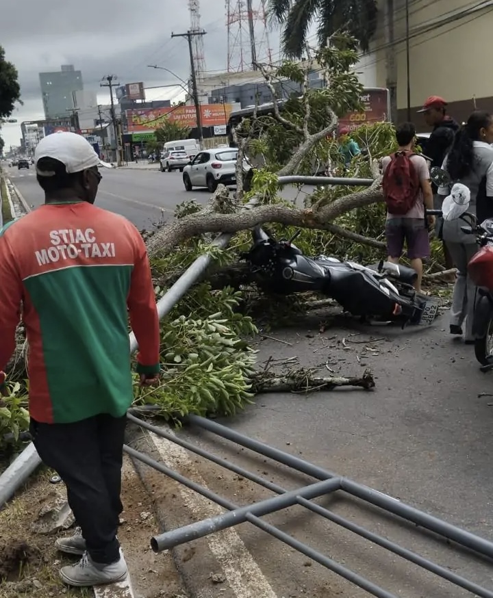 Árvore cai e deixa duas pessoas feridas na Avenida Getúlio Vargas, em Feira