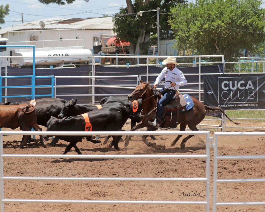 Feira de Santana vai sediar prova oficializada ABQM durante a II Etapa do Campeonato Baiano de Ranch Sorting 2024