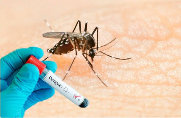 Humildes, Mangabeira, Tomba, Campo Limpo e Papagaio são os locais de Feira com mais casos de dengue confirmados