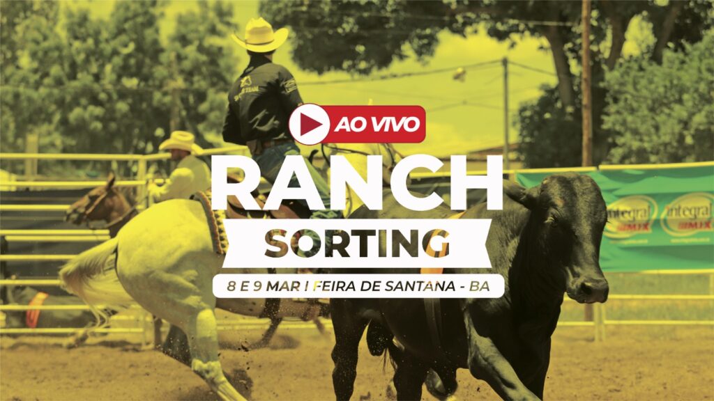 Agenda do Cavalo vai transmitir ao vivo II Etapa do Campeonato Baiano de Ranch Sorting 2024