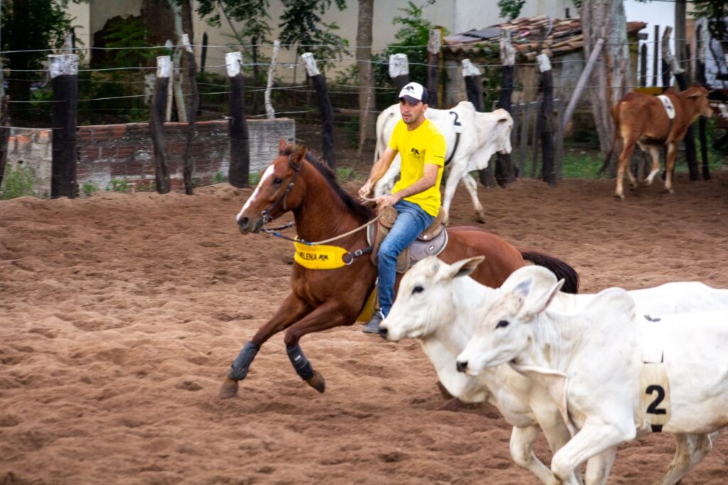 Com cinco etapas realizadas, Campeonato Baiano de Team Penning já pagou mais de R$ 150 mil em premiações