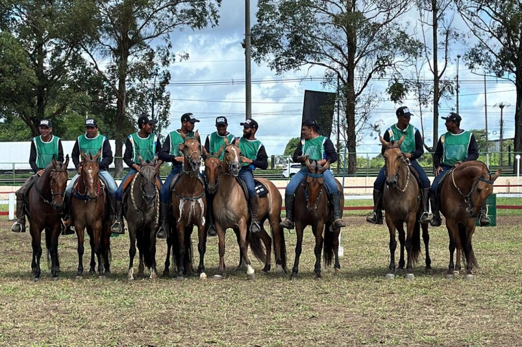 Feira de Santana recebe criadores de todo o país durante Expo Portal da Marcha e Exposição Brasileira de Cavalo Campolina