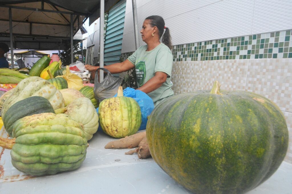 Feira da Agricultura Familiar movimenta economia e valoriza produção rural em Feira de Santana