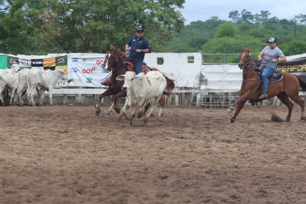 Com premiação de mais de R$ 100 mil, final do Campeonato Baiano de Team Penning será realizada durante a Expofeira 2025