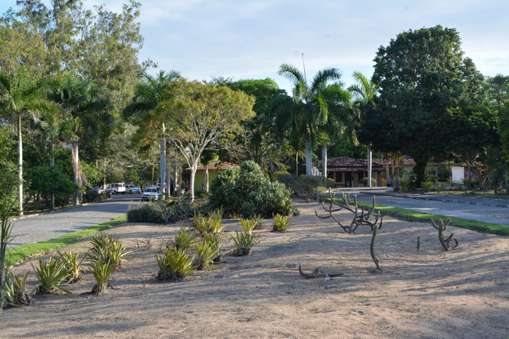 Parque da Cidade recebe programação especial do Dia das Crianças neste domingo