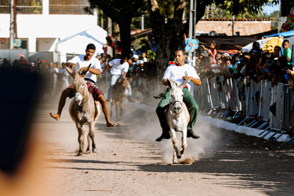  37ª edição da Corrida de Jegue de Afligidos acontece neste domingo, em São Gonçalo dos Campos