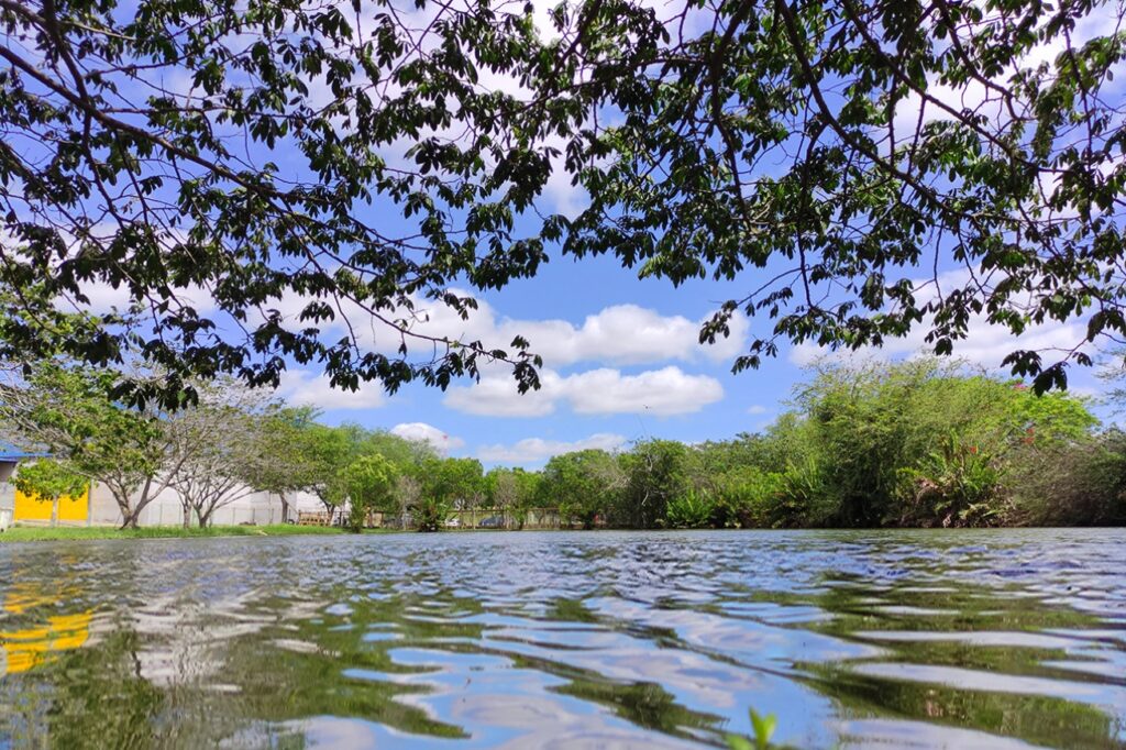 Parques da Lagoa e da Cidade terão funcionamento suspenso no Natal e no Ano Novo