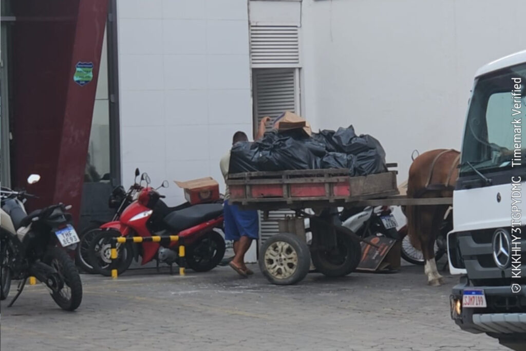 Delicatessen na Fraga Maia volta a ser multada por descarte irregular de resíduos; multa varia de 3 mil a 200 mil