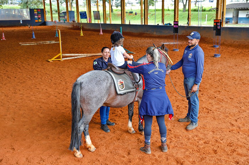 Câmara de Feira aprova criação do Programa Municipal de Equoterapia para pessoas com deficiência