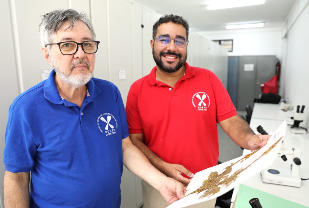Pesquisadores da Uefs avançam na ciência com descoberta de planta inédita da Caatinga