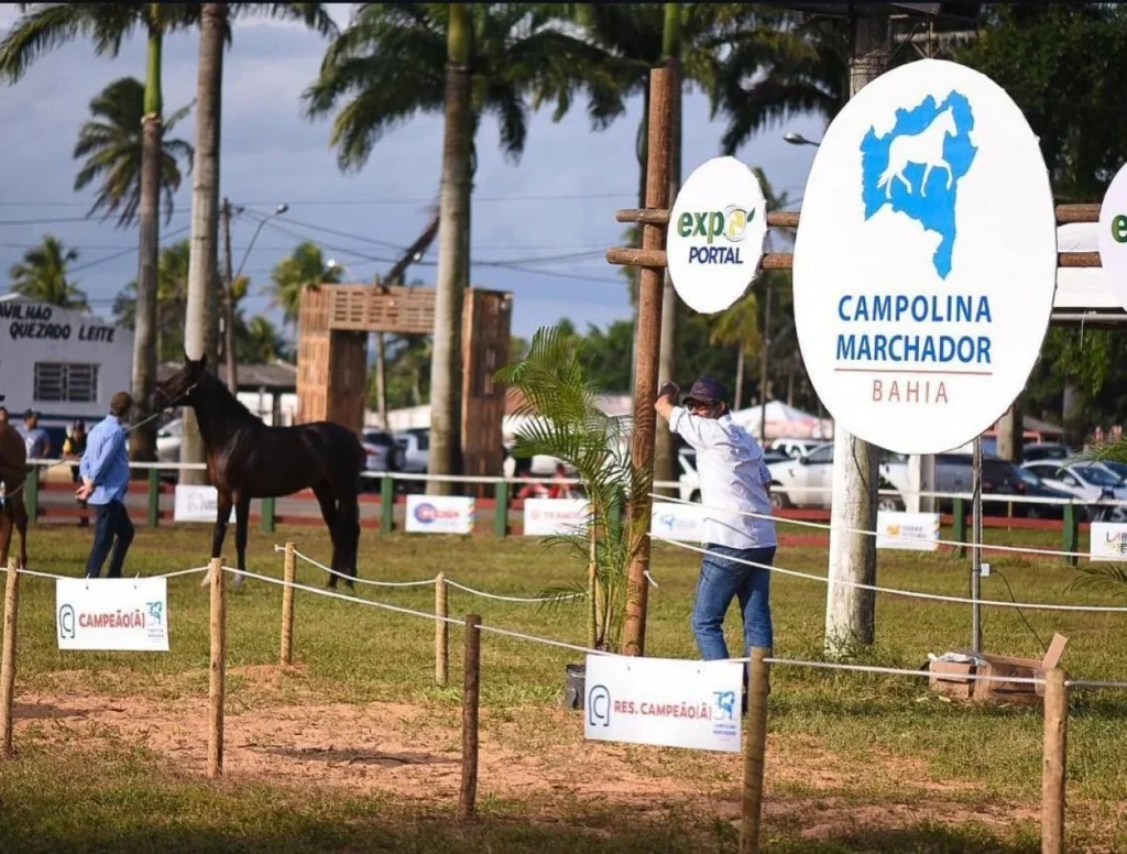 Expoportal deve atrair mais de 30 mil pessoas em Feira de Santana entre os dias 5 e 7 de junho