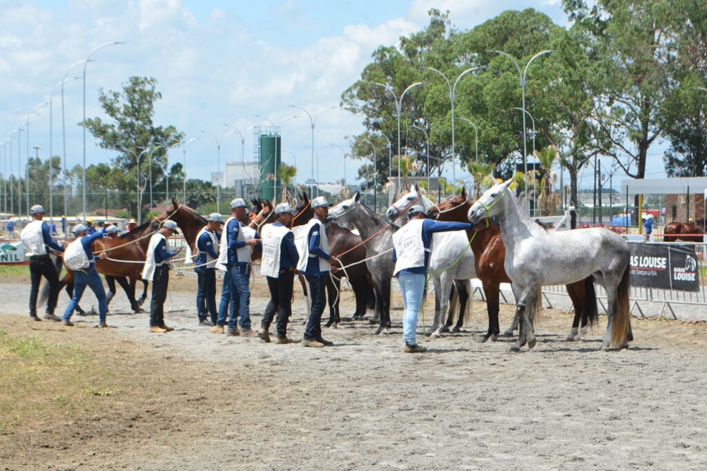 Secretaria de Agricultura define comissão organizadora da 47ª Expofeira
