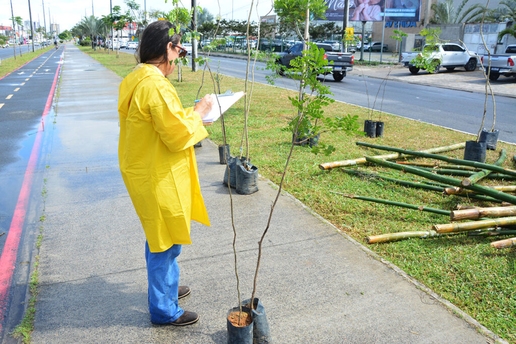 Prefeitura lança programa ‘Feira Verde’ e inicia plantio de 300 mudas na Noide Cerqueira