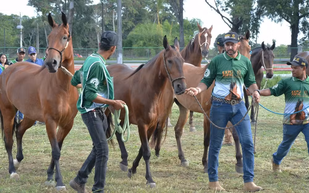 Expo Portal 2026 reúne exposição de cavalos, leilões e shows em Feira de Santana