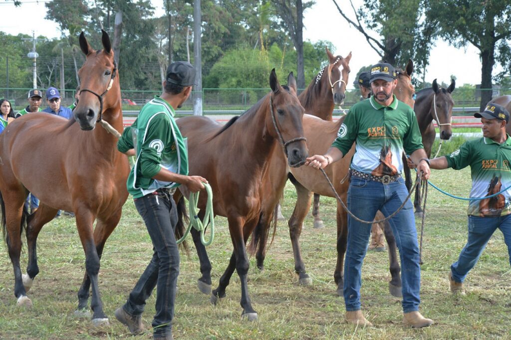 Expo Portal 2026 reúne criadores de todo o país e fortalece agronegócio em Feira de Santana
