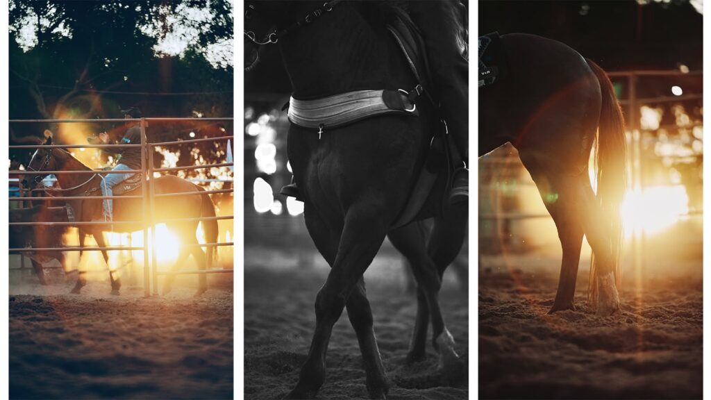 Projeto transforma momentos nas pistas em obras de arte e patrimônio para famílias do universo equestre