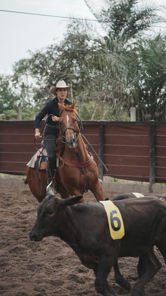 I Copa Princesa do Sertão de Ranch Sorting promete reunir mulheres de toda a Bahia em Feira de Santana