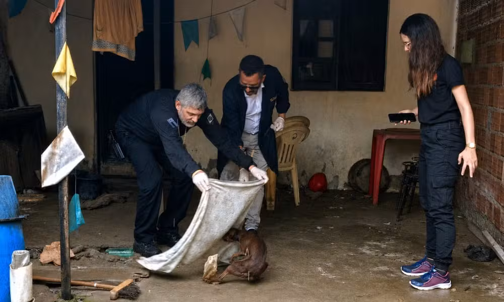 Operação da polícia resgata 13 cães mantidos em condições de insalubridade no bairro Tomba, após denúncias de maus-tratos