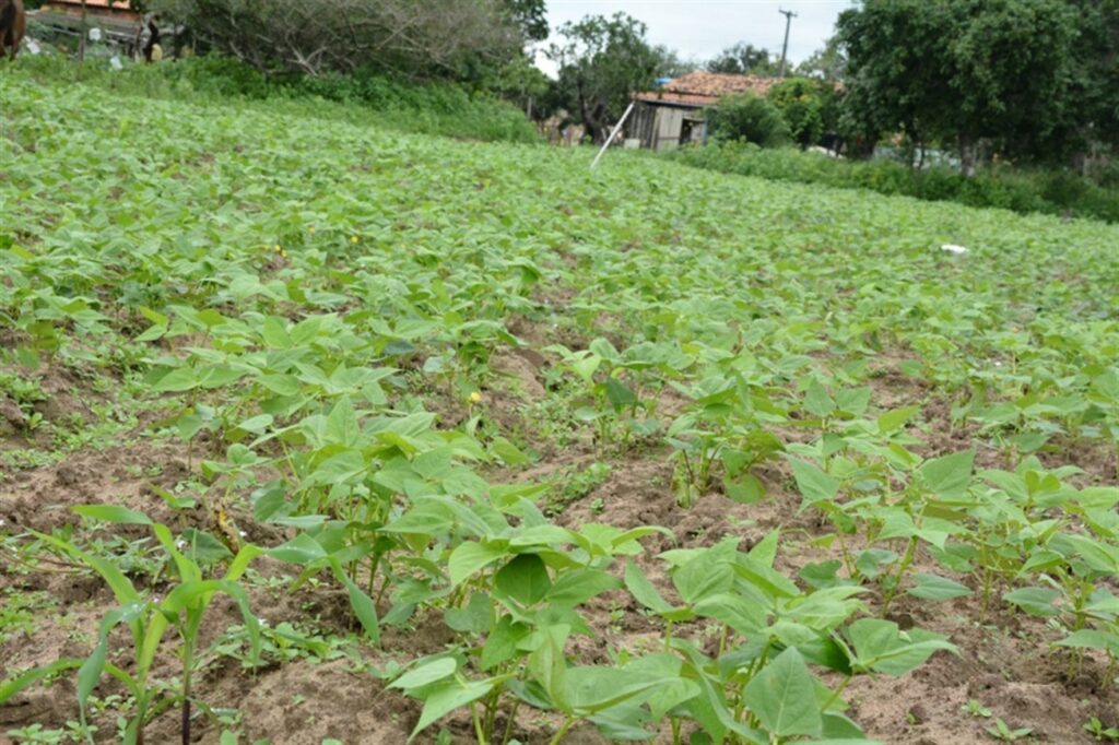 Secretaria de Agricultura de Feira fiscaliza propriedades rurais para pagamento do Garantia-Safra