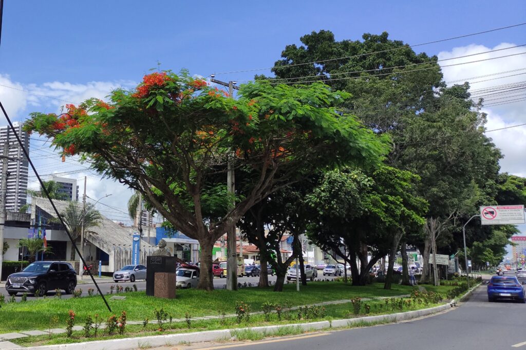 Feira de Santana está entre os 10 municípios selecionados para receber verba federal contra calor extremo